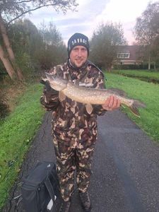 Northern Pike