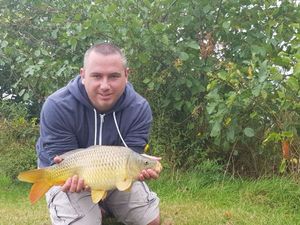 Common Carp