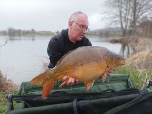 Mirror Carp