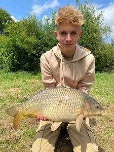 Common Carp