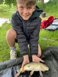 Mirror Carp