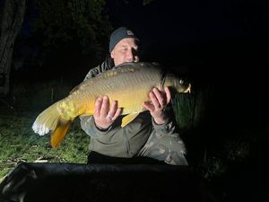 Mirror Carp
