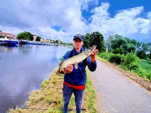 Northern Pike