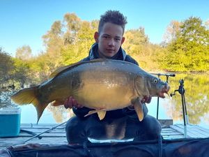 Mirror Carp