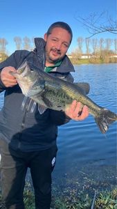 Largemouth Bass