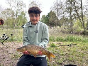 Common Carp
