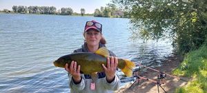 Tench