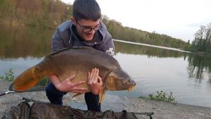Mirror Carp
