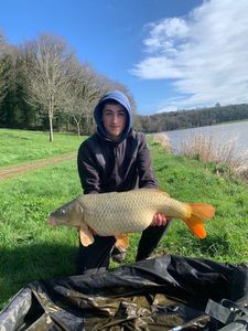 Common Carp