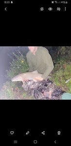 Barbel