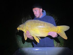 Mirror Carp