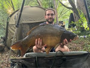 Mirror Carp