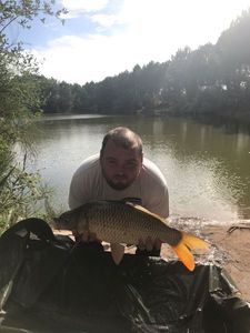 Common Carp
