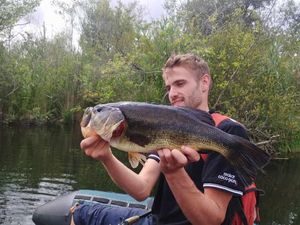Largemouth Bass