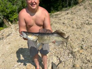 Zander