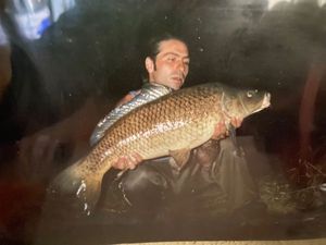 Mirror Carp