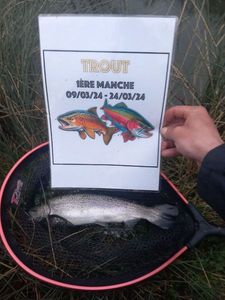 Rainbow Trout