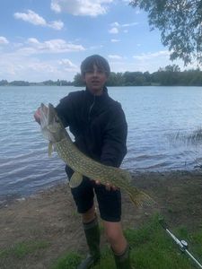 Northern Pike