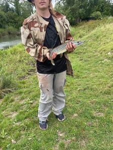 Northern Pike