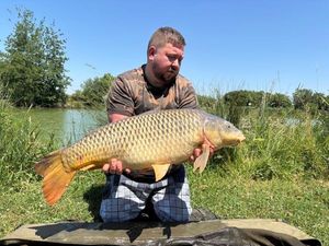 Common Carp