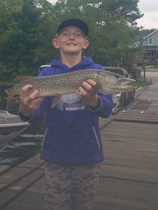 Northern Pike