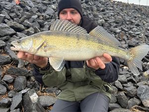 Zander