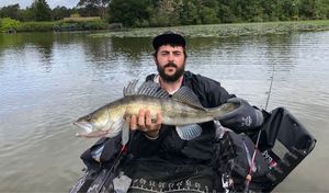 Zander
