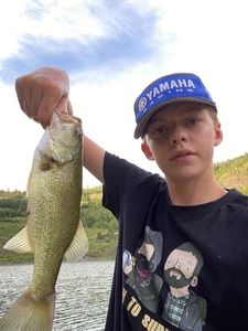 Smallmouth Bass