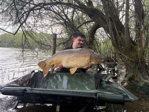 Mirror Carp