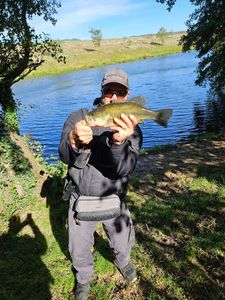 Largemouth Bass