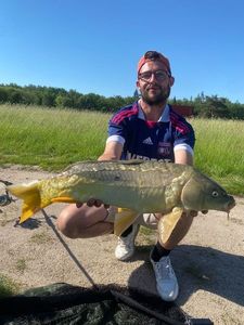 Mirror Carp