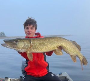 Northern Pike