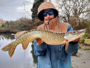 Northern Pike