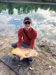 Mirror Carp