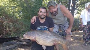Mirror Carp