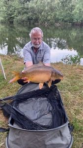 Mirror Carp