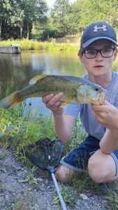 Largemouth Bass