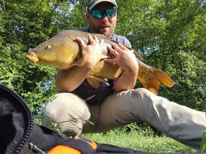 Mirror Carp