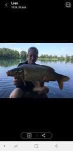 Common Carp