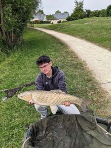 Grass Carp
