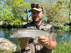 Rainbow Trout