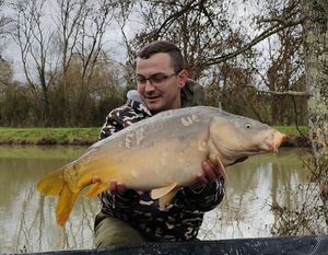 Mirror Carp