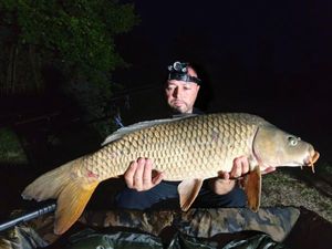 Mirror Carp