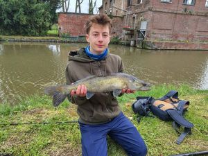 Zander