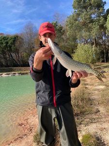 Northern Pike