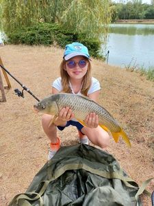 Common Carp