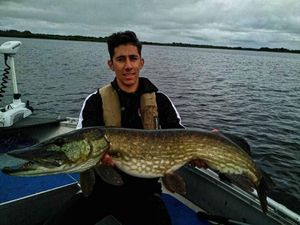 Northern Pike