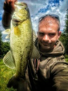 Largemouth Bass
