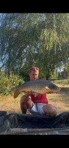 Common Carp