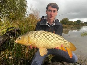 Common Carp